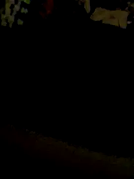 gonzalitoC4 webcam
