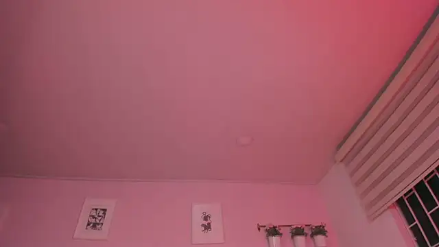 Vennuus_ webcam