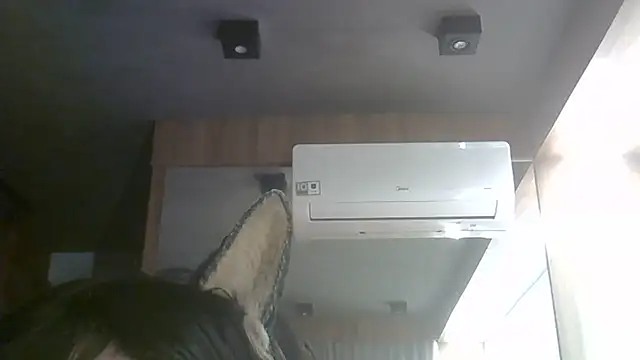 SkinnyKitten webcam
