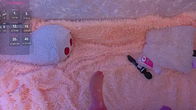 mirida_fox webcam