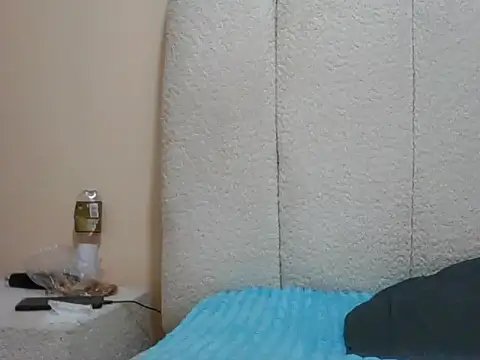 Tehiller webcam