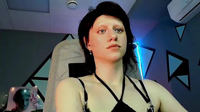 LidaDarknet webcam