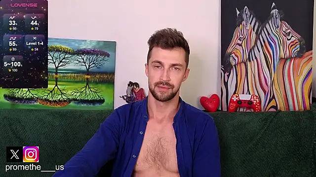 Promethe_us webcam
