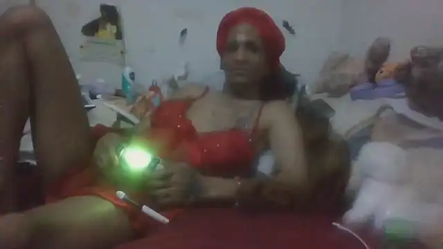 paradisejas webcam