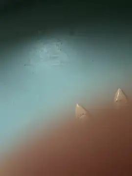 yinyin326 webcam