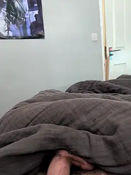 TriforceSteve webcam