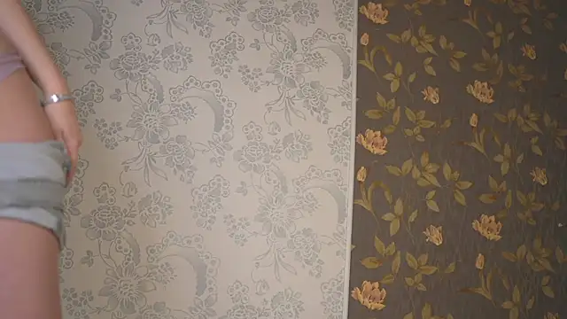 LollaStich webcam