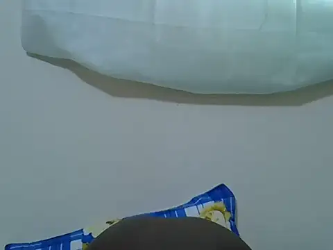 pointie_bloomy webcam