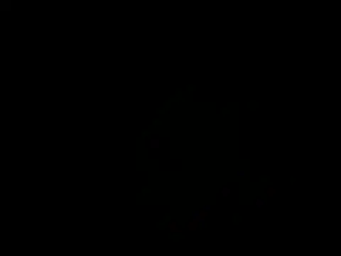 silverdom01 webcam