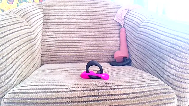 SHARP299 webcam