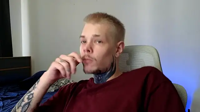DENIS_HERE webcam