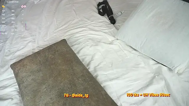aidaha webcam