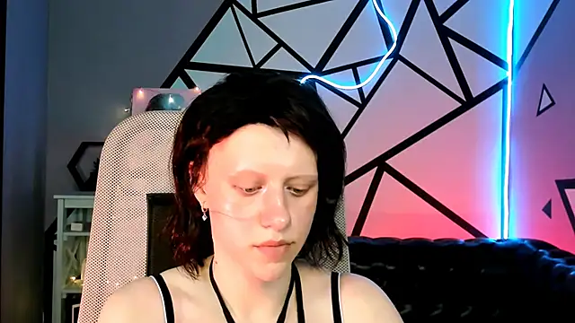 LidaDarknet webcam