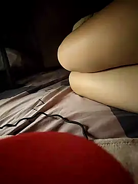 -Tara-a webcam