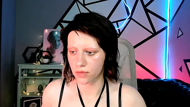 LidaDarknet webcam
