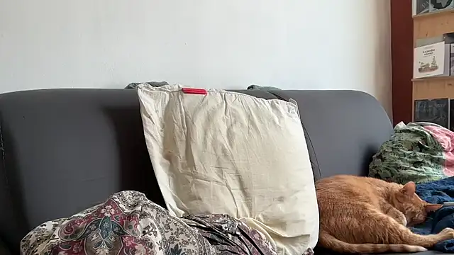 Brianjonest webcam
