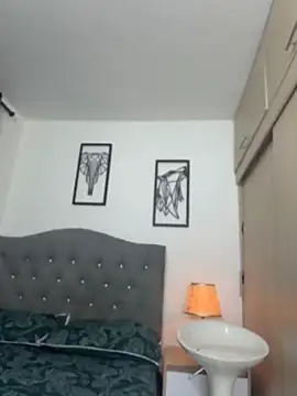 Maximiliano_ford webcam