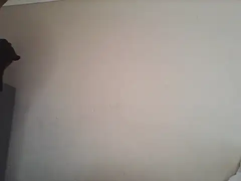 Tbangs_ webcam