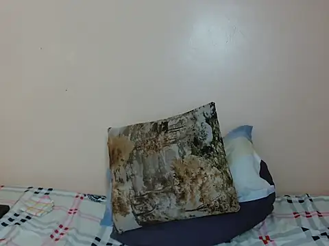 luzrem webcam
