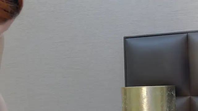 FoxyJoy webcam