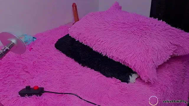 celestte_evans_1 webcam