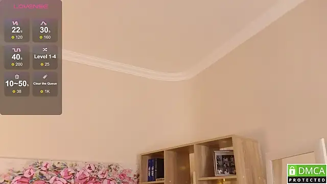 Sue_Sanders webcam