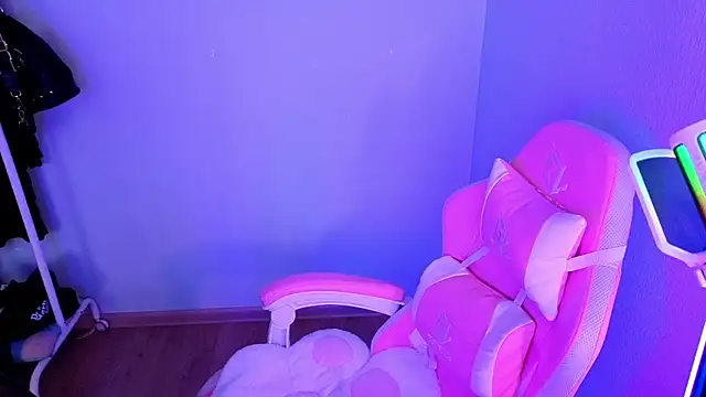 Chiibis webcam