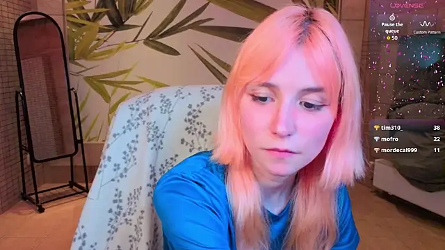 fleximona webcam
