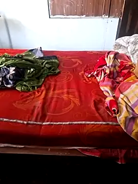 STRIP-KI-RANI webcam