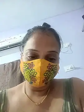 Hansikatelugu webcam