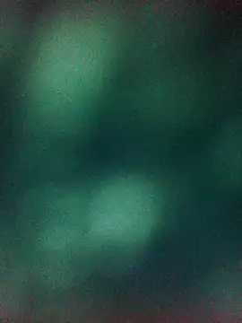 Villageanuty webcam