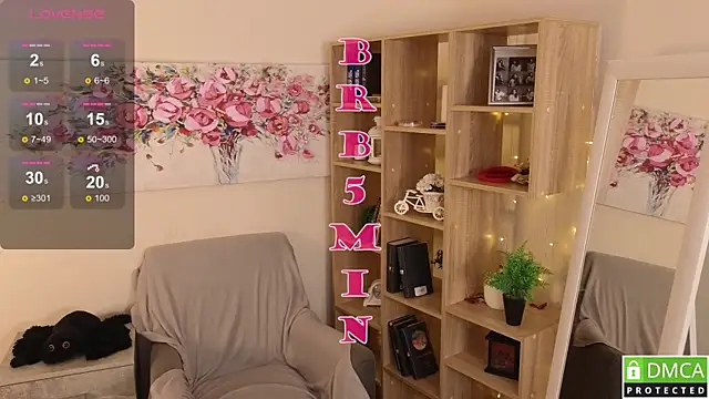 Sue_Sanders webcam