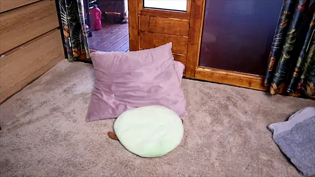 LittleMe97 webcam