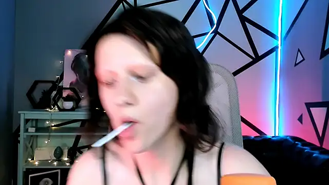 LidaDarknet webcam