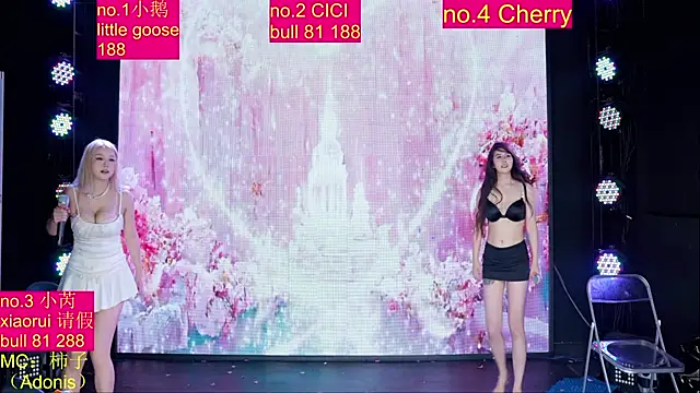 euphoria-001 (Ask my age) - 解锁性感双人舞