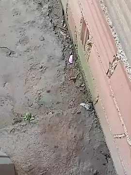 magrinhosafadao webcam