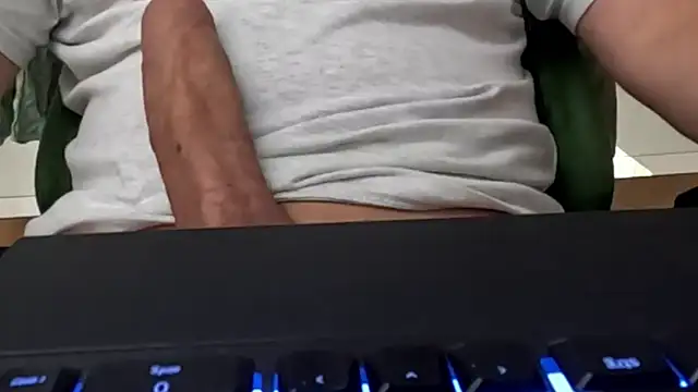 auilein webcam