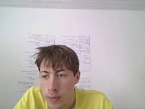 velvetragottiog's live room