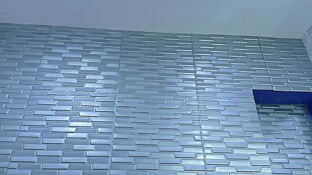 SeraphynLuxora webcam