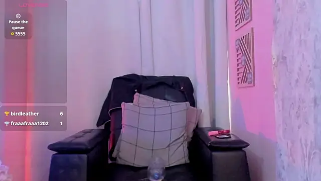 Jaadewest webcam
