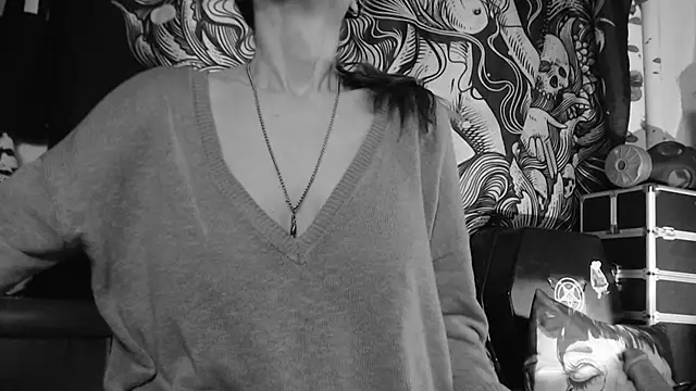 Silentmary webcam