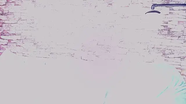 bellanovacs webcam