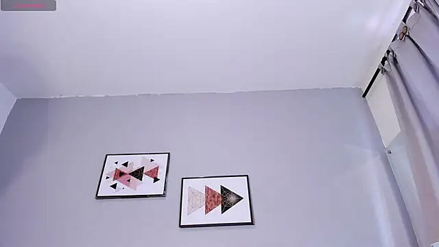 PauleteW10 webcam