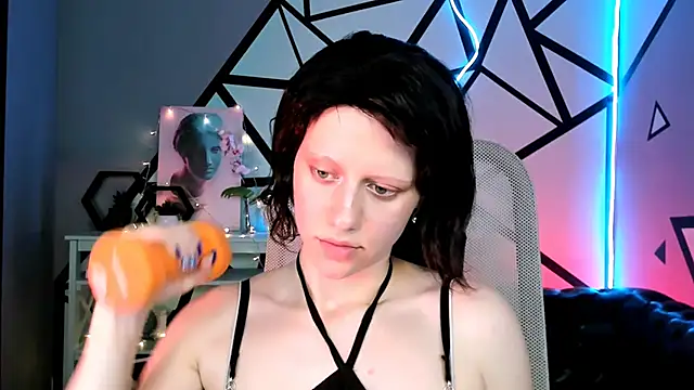 LidaDarknet webcam