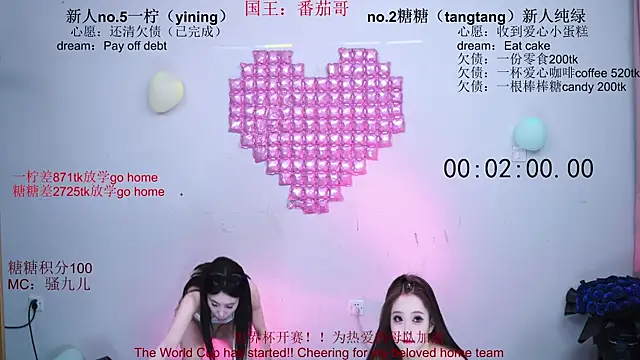 CCTW-100 webcam