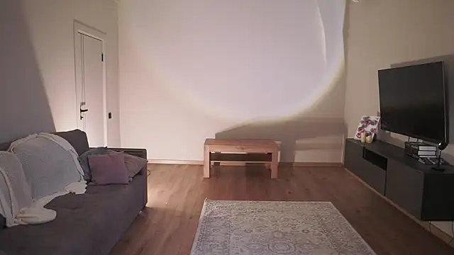 AdaBell webcam