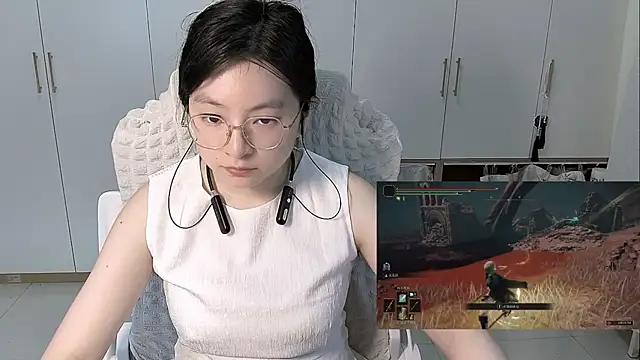 Erya-369 webcam