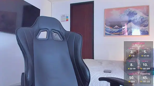 RJBarto webcam