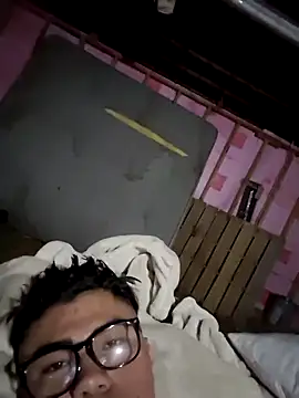 pip91w webcam
