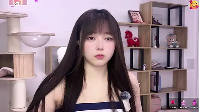 SakuraCat6 webcam